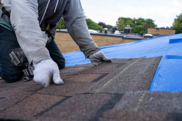 Roof Repair Estimates in Manchaca, TX