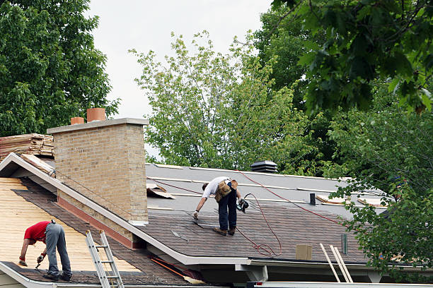 Best Metal Roofing Contractor  in Manchaca, TX