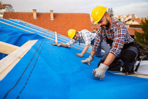Professional Roofing Contractor in Manchaca, TX